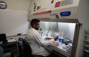 A picture of a lab worker at a Biosafety Cabinet. 