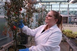A photo of a worker in a greenhouse displaying proper PPE